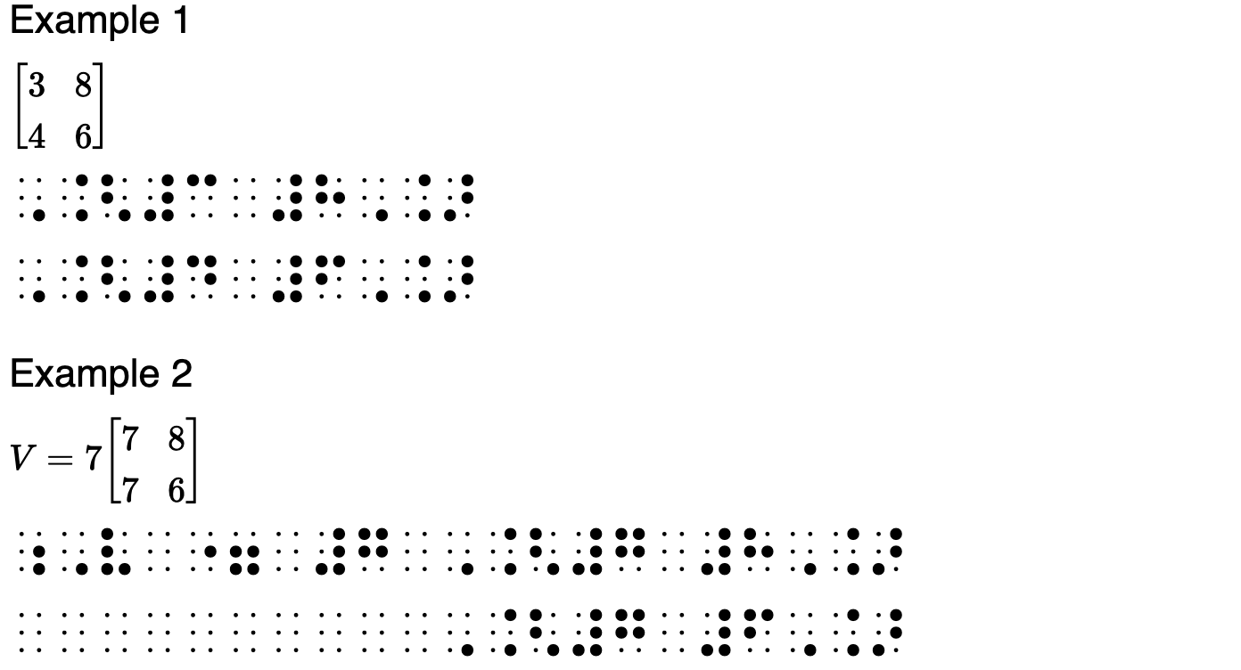 Braille, Dyscalculia, and Mathematics: How?